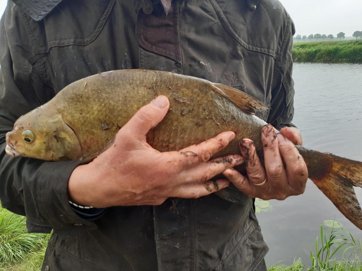 Vakantiehuis De Veldhoen Vrijgelegen Nabij De Rivier De Vecht Beerze Εξωτερικό φωτογραφία